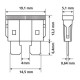 Lampa ΑΣΦΑΛΕΙΕΣ ΣΕΤ ΣΕ ΚΟΥΤΙ 80ΤΕΜ. PLUG-IN 12/32V (ΜΕ ΕΡΓΑΛΕΙΟ ΑΦΑΙΡΕΣΗΣ)