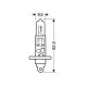 Lampa H1 ΑΛΟΓΟΝΟΥ 12V/100W 62.5mm P14,5s ΤΕΜ1