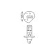 Lampa H1 ΑΛΟΓΟΝΟΥ 12V/55W 62.5mm P14,5s ΛΑΜΠΑ
