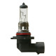 Lampa H10 12V/42W/PY20d ΑΛΟΓΟΝΟΥ