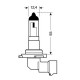 Lampa H10 12V/42W/PY20d ΑΛΟΓΟΝΟΥ