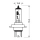 Lampa H19 12V 60/55W PU43t-3 1700/1200 lm STANDARD LINE ΑΛΟΓΟΝΟΥ (ΚΟΥΤΙ) - 1 ΤΕΜ.