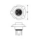 Lampa H19 12V 60/55W PU43t-3 1700/1200 lm STANDARD LINE ΑΛΟΓΟΝΟΥ (ΚΟΥΤΙ) - 1 ΤΕΜ.