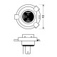 Lampa H4 ΑΛΟΓΟΝΟΥ 12V/60-55W P43t