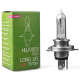 M-Tech H4 24V 75/70W P43t POWERTEC LONG LIFE ΑΛΟΓΟΝΟΥ 1ΤΕΜ. ΚΟΥΤΙ M-TECH