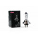M-Tech H7 24V 70W PX26d STANDARD ΑΛΟΓΟΝΟΥ ΚΟΥΤΙ 1ΤΕΜ. M-TECH