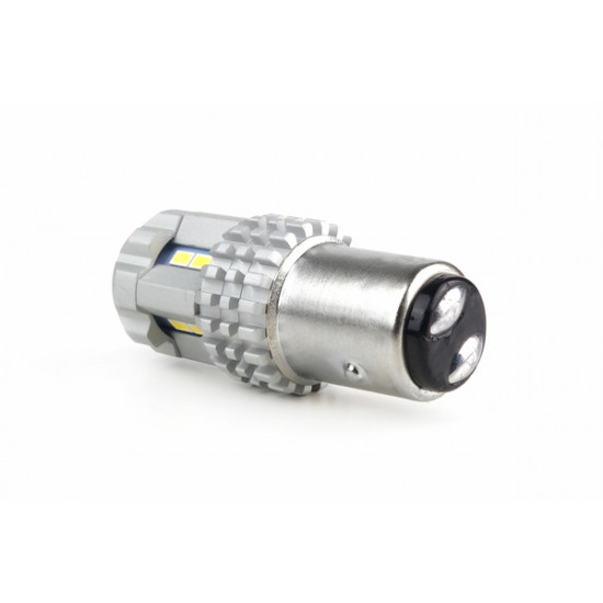 P21/5W CANBUS 12/24V LED 22xSMD ULTRABRIGHT 3020 ΛΕΥΚΟ 2ΤΕΜ.