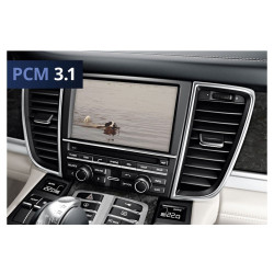 Porsche PCM3.0 - PCM3.1 Video/Camera In Interface